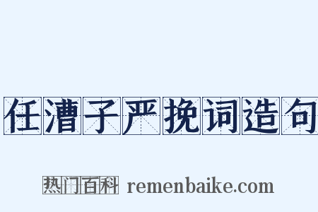 任漕子严挽词造句是什么意思的图片